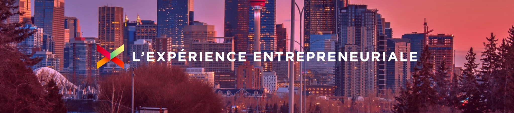 Copie de Bannière site web - Millenium (945 x 250 px) (2048 x 451 px)